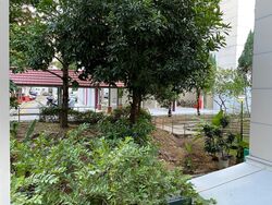 Blk 258 Tampines Street 21 (Tampines), HDB 3 Rooms #539235401